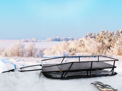 Сани 3000 X-Track на полозьях