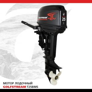 Лодочный мотор Golfstream T 25 BMS 