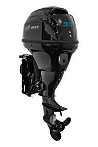 Лодочный мотор Reef Rider RREF 30 FES-T (2 цилиндра.)