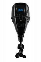 Лодочный мотор Reef Rider RRF 9,9 FES PRO