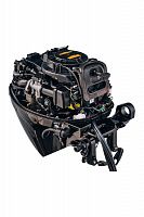 Лодочный мотор Reef Rider RREF 20 FES