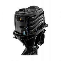 Лодочный мотор Reef Rider RREF 80 FEL-T