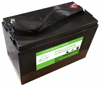 Аккумулятор Leoch LFELI - 12100M