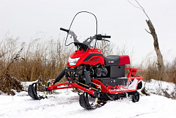 Снегоход IRBIS DingoT200