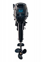 Лодочный мотор Reef Rider RR 9,9 FHS PRO