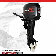 Лодочный мотор Golfstream T 25 BMS 