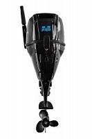 Лодочный мотор Reef Rider RRF 9,9 HS PRO